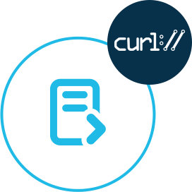 How to convert a file on cURL